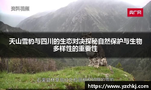 三亿天山雪豹与四川的生态对决探秘自然保护与生物多样性的重要性